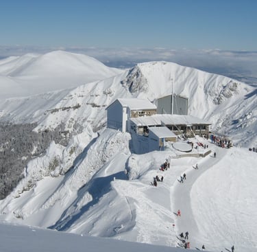 a group of people on a mountain top