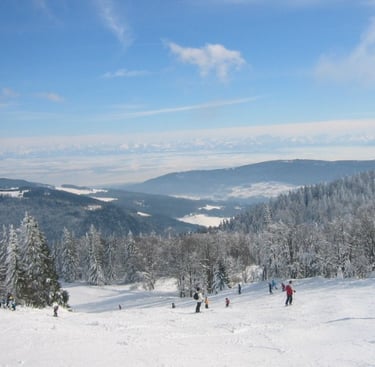 a group of people skiing down a mountain