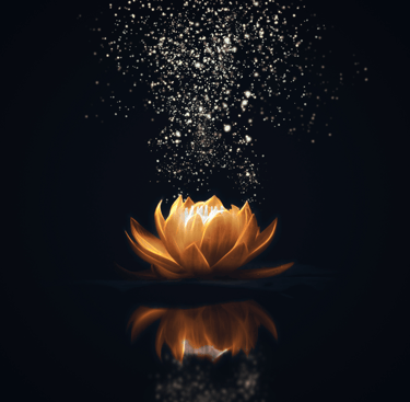 no-motivation-self-motivation-what-is-motivation