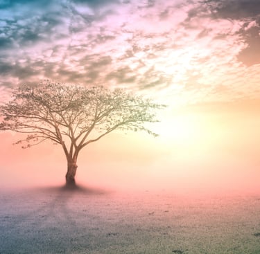 Deep-rooted Ancestral Wounds