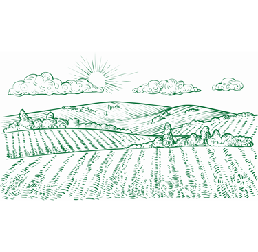 Icone montrant un champ qui représente le lien entre Kadiamor et Bourokk