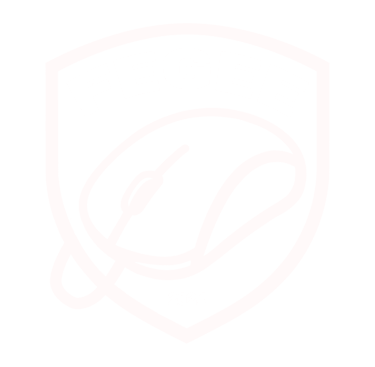 FEGEE - Federação Gaúcha de eSports é parceiro oficial do Grupo SDG Holding da Sad Gang Pro