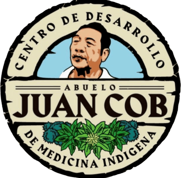 logo medicina tradicional maya