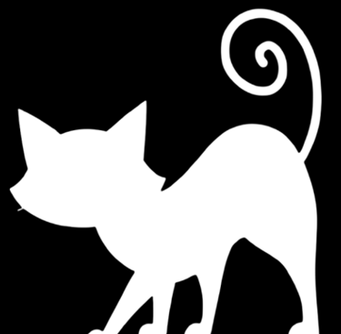 Bismark, the cat companion of Explorino