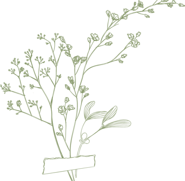 feuillage vert amande