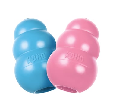 Jouet Kong pour chien