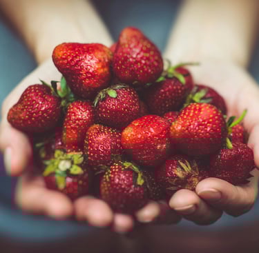 hands holding strawberries