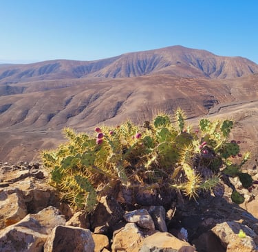 Voyage 1 semaine lanzarote: Passionnément évasion