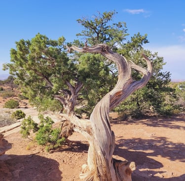 Canyonland national park