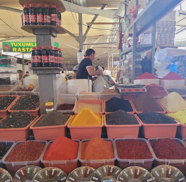 Visite Tachkent Ouzbékistan