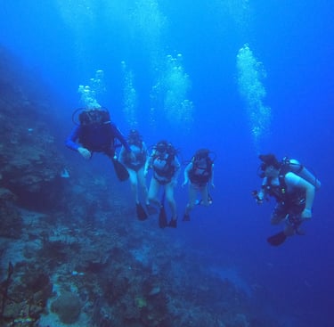buceo profundo en El Pared en isla Catalina