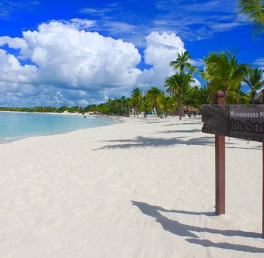 Excursion en Isla Catalina