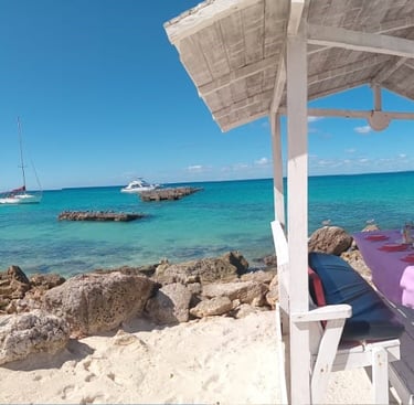 private charter Saona island