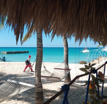 Excursion en Isla Saona