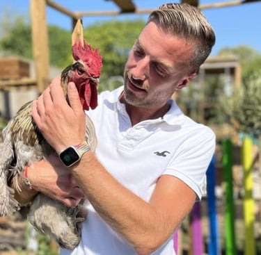 napoléon le coq de wattignies