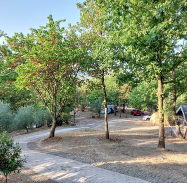 Agriturismo Campeggio Casa Aurora le marche