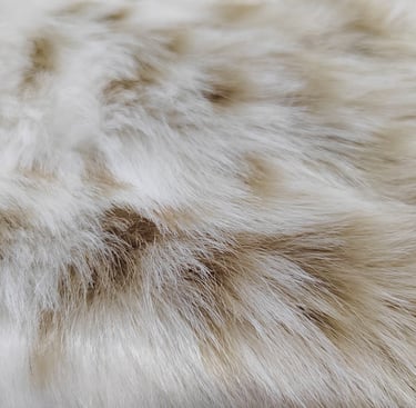 Faux Fur Fabrics
