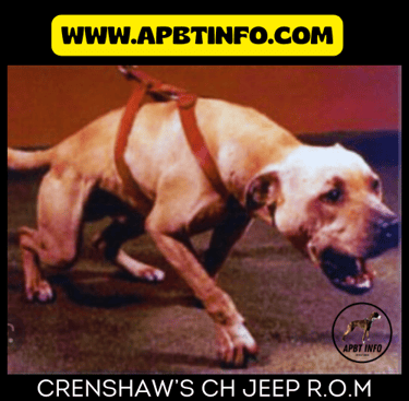 crenshaw ch jeep rom apbt game dog