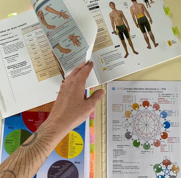 kinésiologie touch for health brain gym reflex archaïque