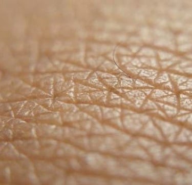 a close up of a skin - fractal skin