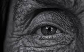 an old man's eye and eye contact with the eye of an elephant