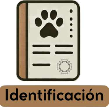 Identificación mediante implantación de microchip a domicilio para perros y gatos en Alicante.