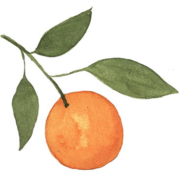 orange with green stem and leaves