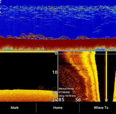 image sonar qui montrent des poissons en 2D, imagerie verticale (down imaging) et imagerie latérale