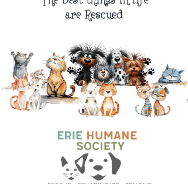 Crafted with care, pressed with purpose—charity meets creativity in every detail