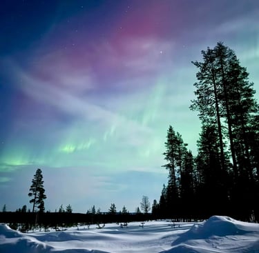 a bright green and pink aurora in a snowy forest