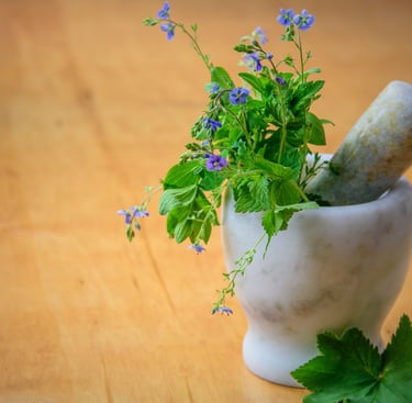 Fresh purple wildflowers and green herbs in a white marble mortar and pestle for herbal medicine.