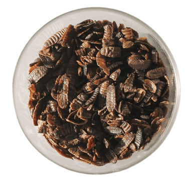 Larvae Dried Larvae Feed for Fish Feed for Poultry