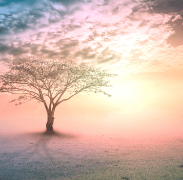 Deep-rooted Ancestral Wounds