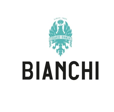 revendeur vélo bianchi belfort