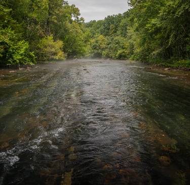 South Holston River September 2025