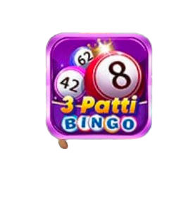 3Patti bingo, 3 Patti bingo, bingo Patti game 