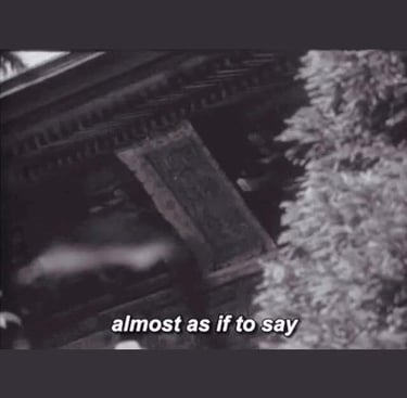 Film still from Future Knowledge by Tina Bikic showing Instagram story text, “almost as if to say.”