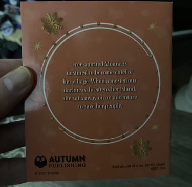 Princess Advent Calendar Moana Booklet from Back