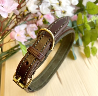 collier pour chien marron vert artisanal en cuir cousu main artisan sellier à Genève Carouge