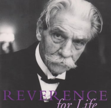 a man in a tuxedo suit and bow tie