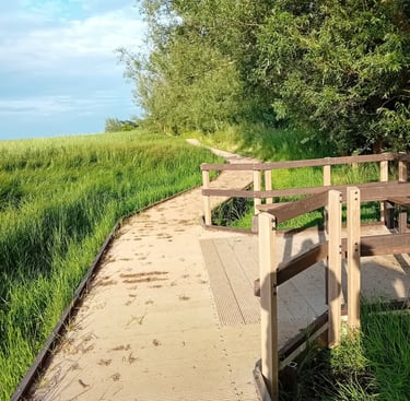 Board walk along the marsh side