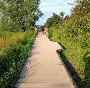Board walk along the marsh side