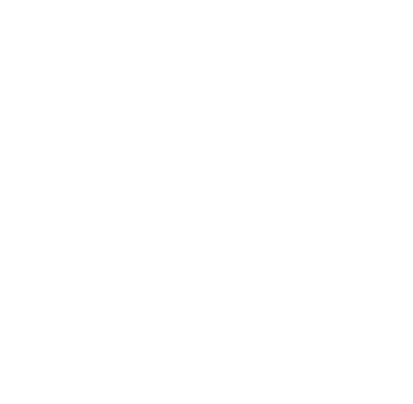 chat icon
