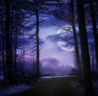 moonlight filtering through dark forest where fear lies in the shadows