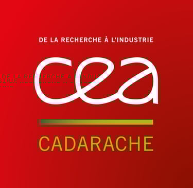 Logo CEA Cadarache
