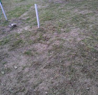 DESBROCE DE PARCELAS