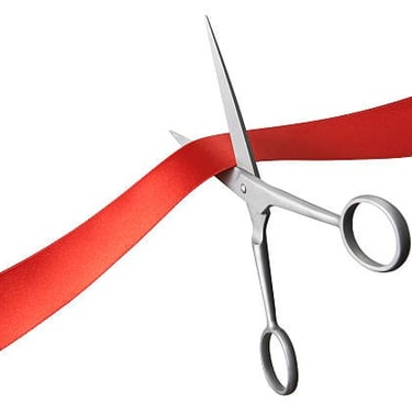 Inauguration MECALINE