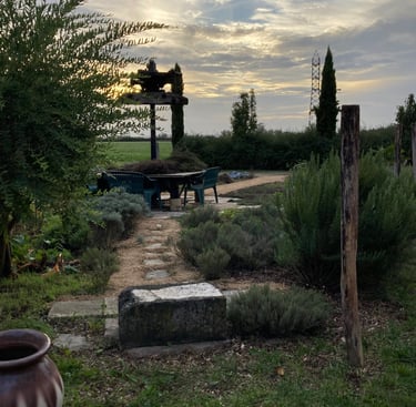 Relaxation pleine conscience et soins par la nature et le jardin thérapeutique et préventif