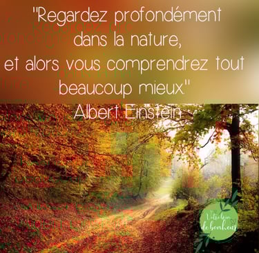 a road with a quote about nature