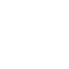 Cost and Time Efficiency